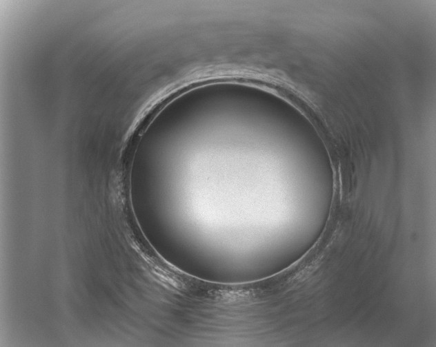 X0000059821501200510211133