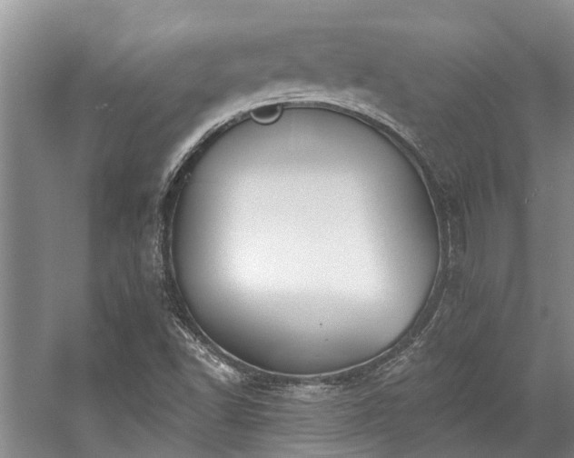 X0000059821502200510211133