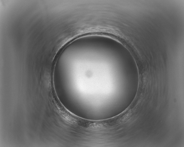 X0000059821505200510211133