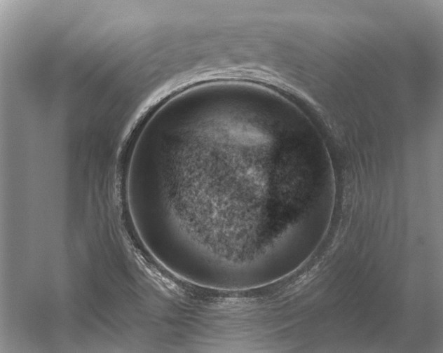 X0000059821506200510211133