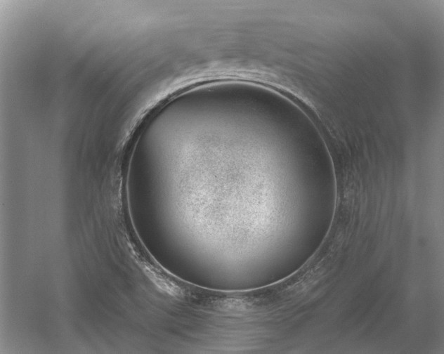 X0000059821507200510211133