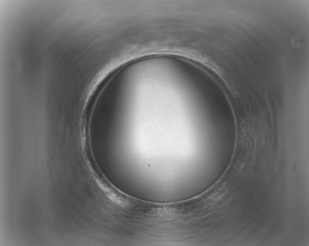 X0000059821511200510211133