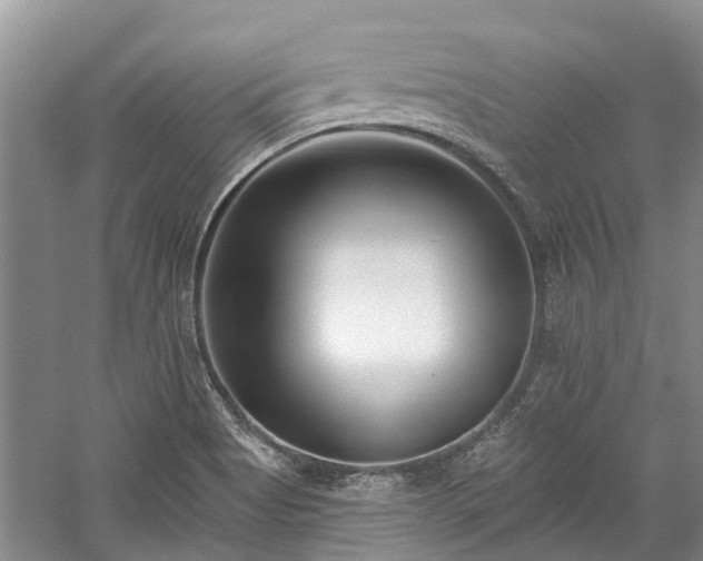 X0000059821513200510211133