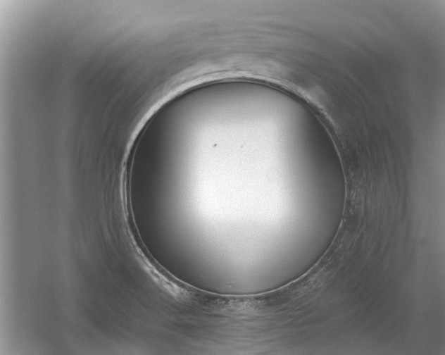 X0000059821516200510211133