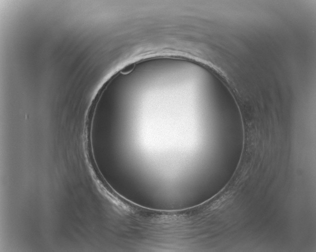 X0000059821518200510211133