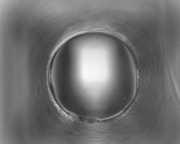 X0000059821520200510211133