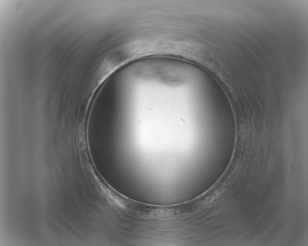 X0000059821521200510211133