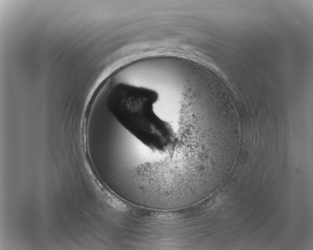 X0000059821522200510211133