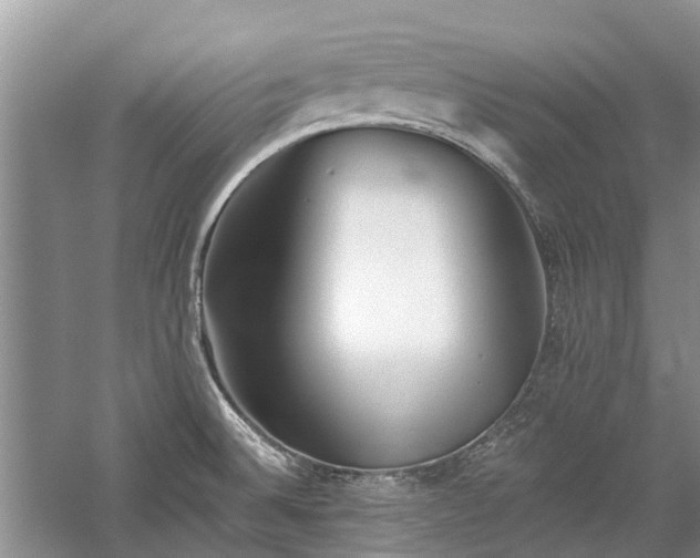 X0000059821524200510211133