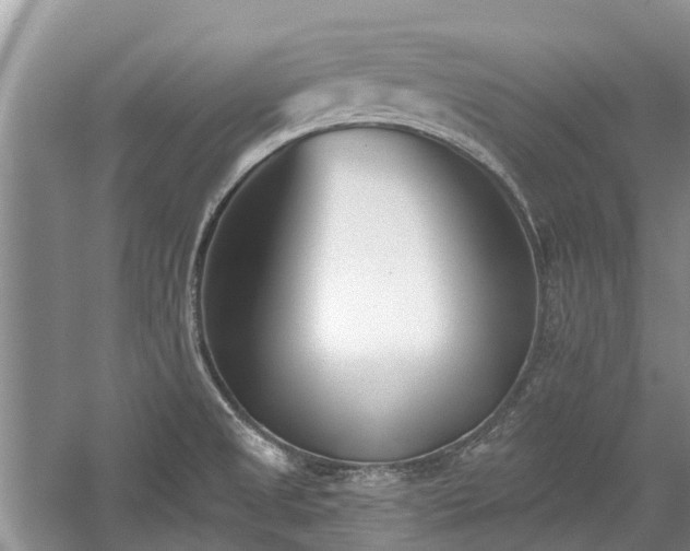 X0000059821525200510211133