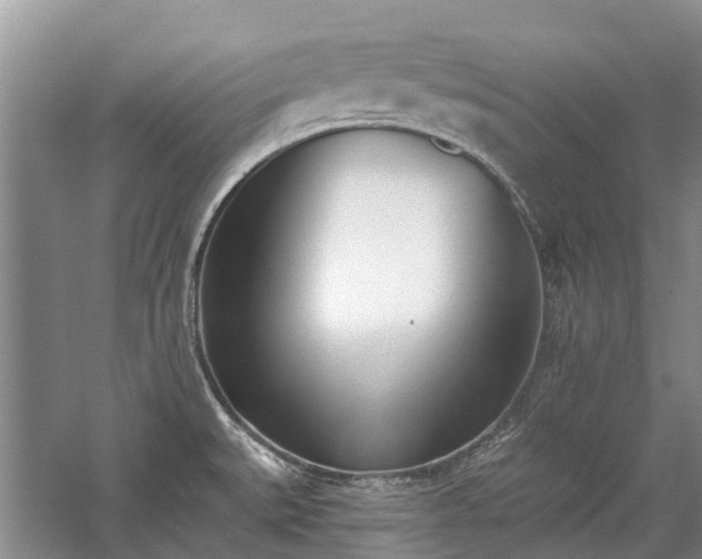 X0000059821527200510211133