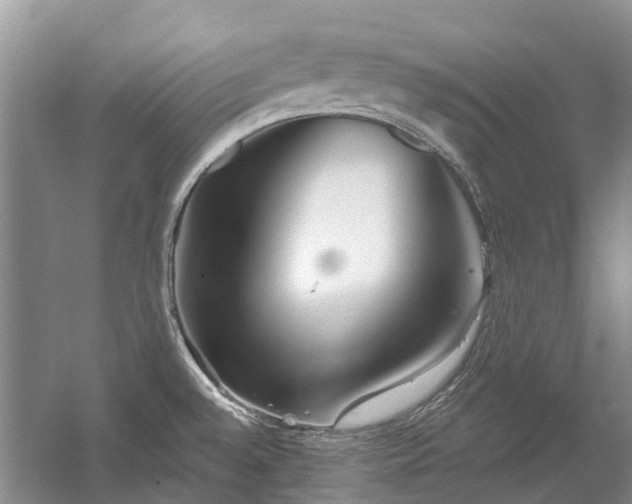 X0000059821528200510211133