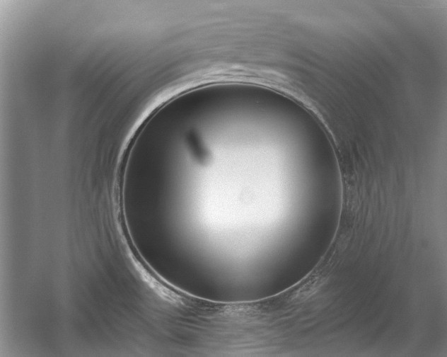 X0000059821531200510211133