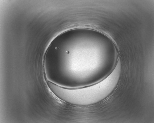 X0000059821532200510211133