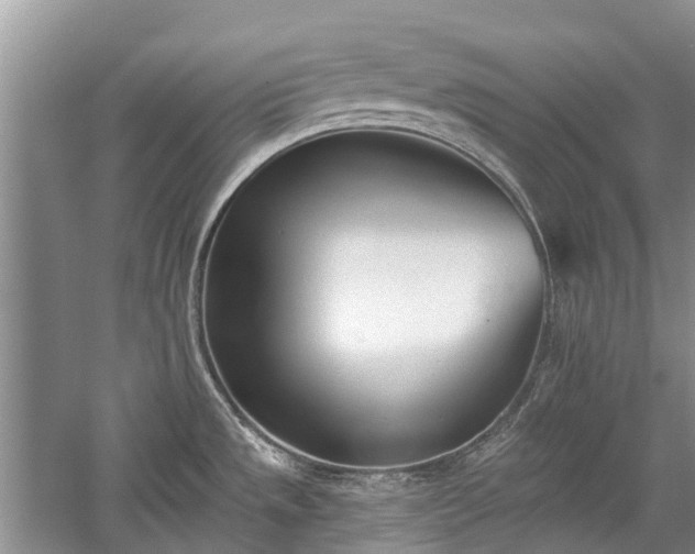 X0000059821533200510211133