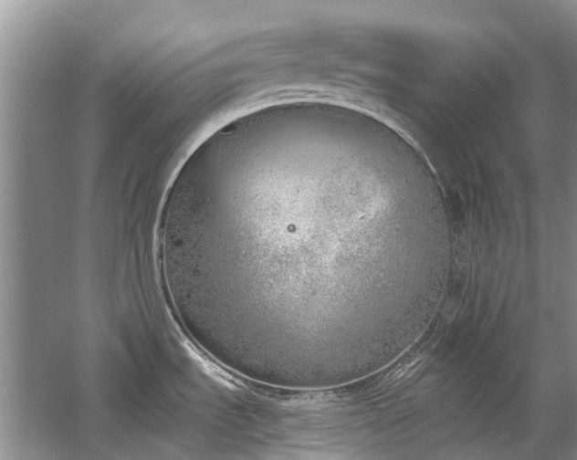 X0000059821535200510211133