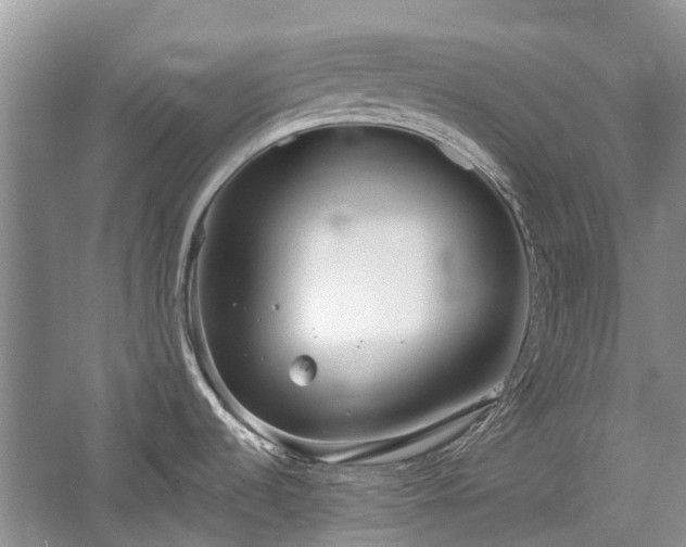 X0000059821536200510211133