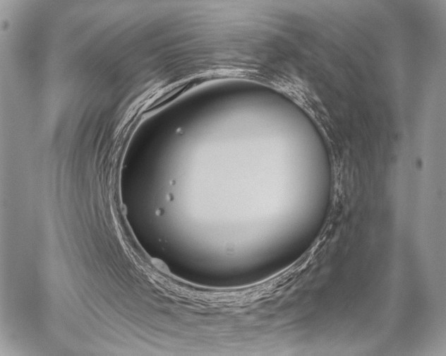 X0000059820001200510241407