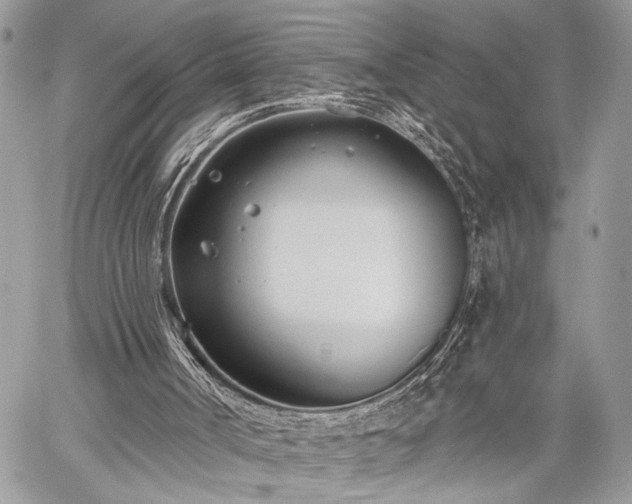 X0000059820002200510241407