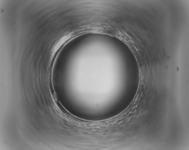 X0000059820003200510241407