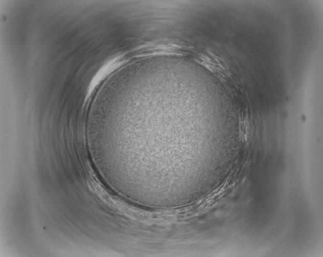 X0000059820004200510241407