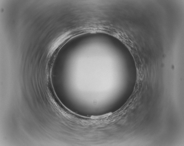 X0000059820005200510241407