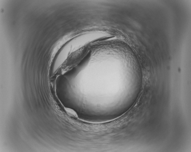 X0000059820006200510241407