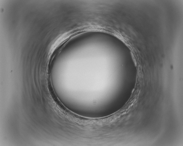 X0000059820007200510241407