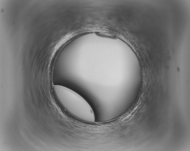 X0000059820008200510241407