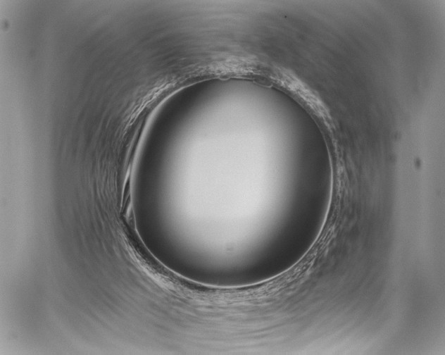 X0000059820009200510241407