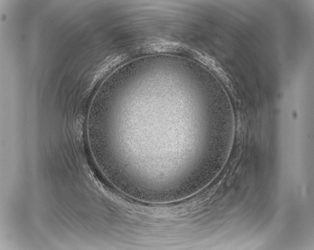 X0000059820010200510241407