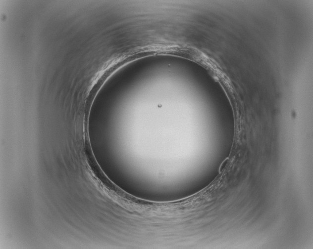 X0000059820011200510241407