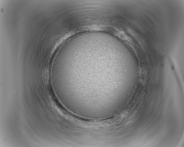 X0000059820012200510241407