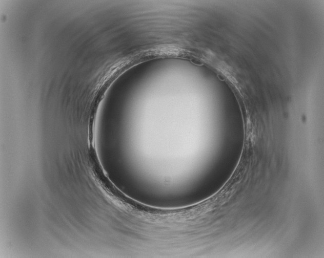 X0000059820013200510241407