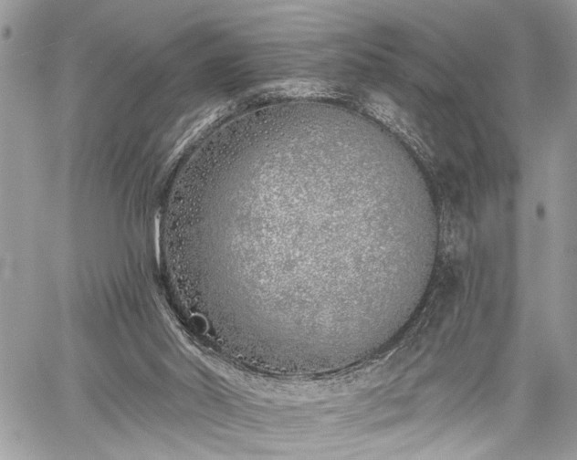 X0000059820014200510241407