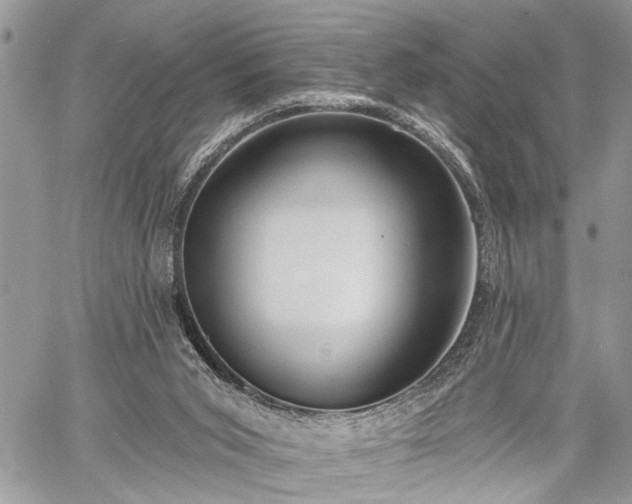 X0000059820015200510241407