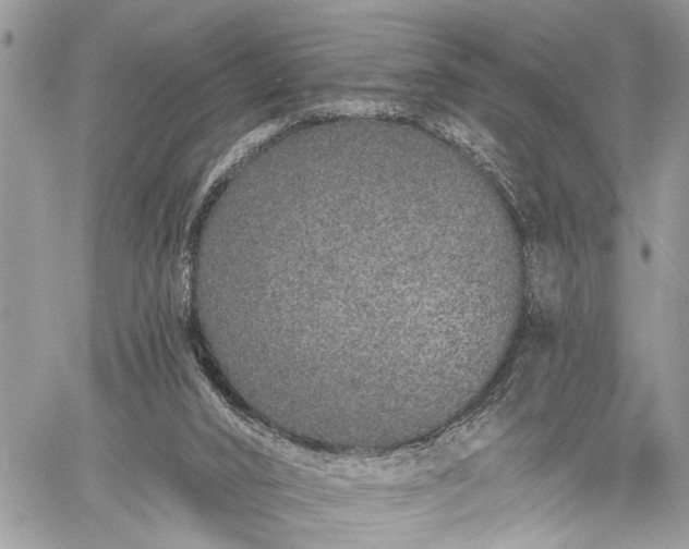 X0000059820016200510241407