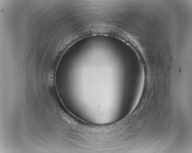 X0000059820017200510241407