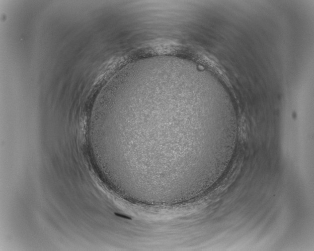 X0000059820018200510241407