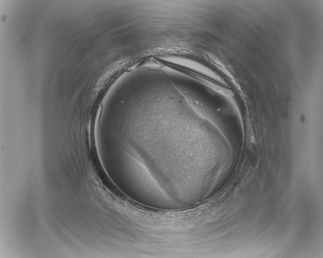 X0000059820019200510241407