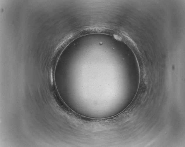 X0000059820020200510241407