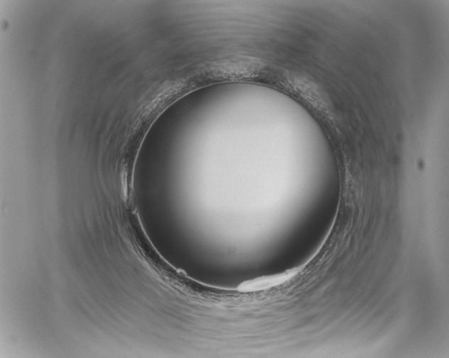 X0000059820021200510241407