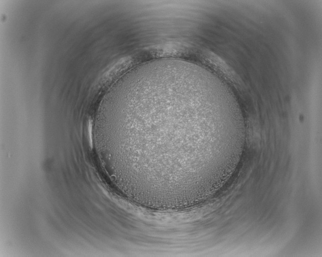 X0000059820022200510241407