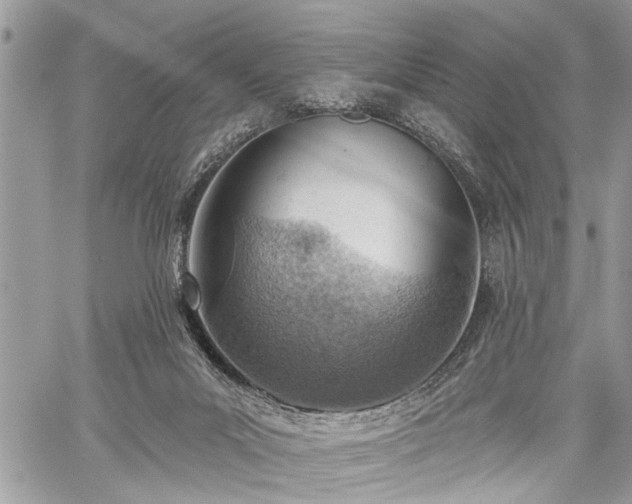 X0000059820023200510241407