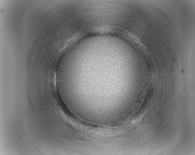 X0000059820024200510241407