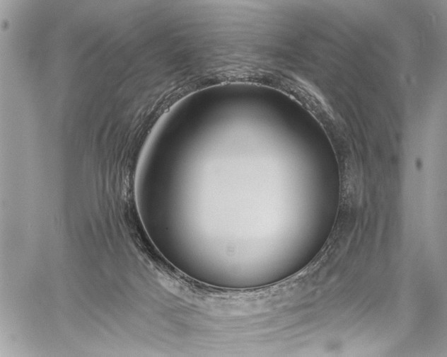 X0000059820025200510241407