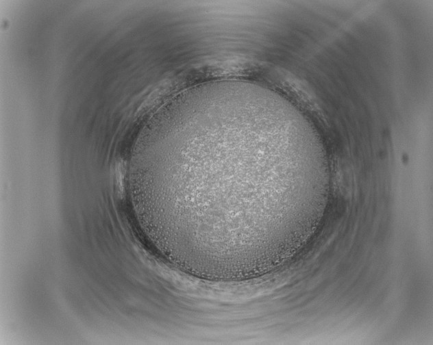 X0000059820026200510241407