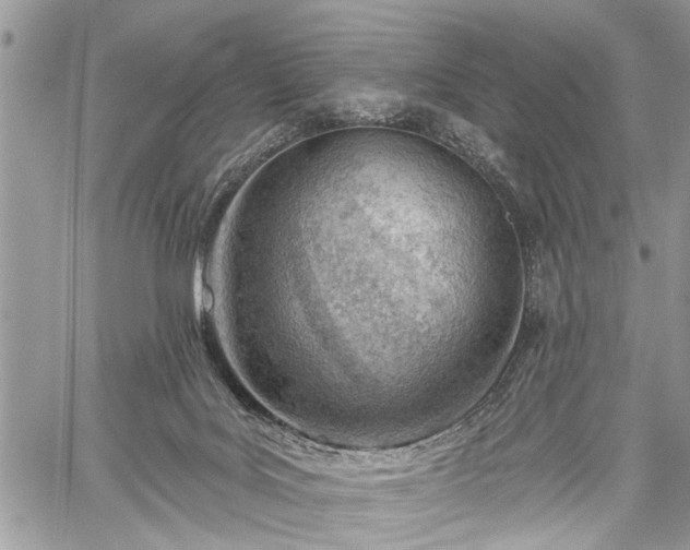 X0000059820027200510241407