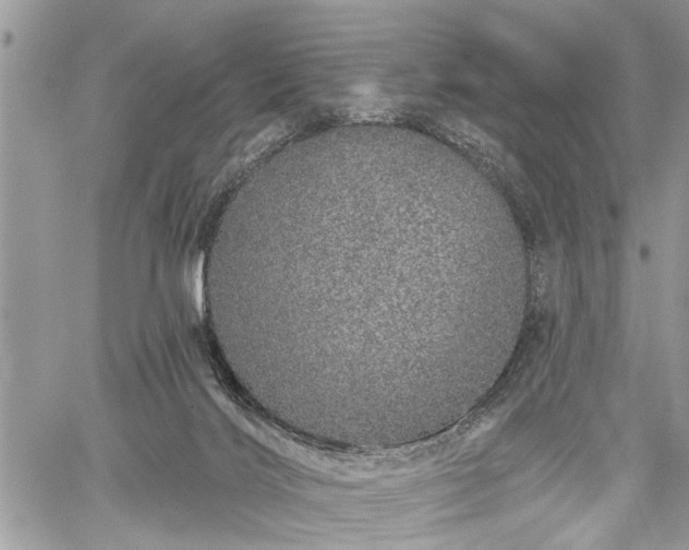 X0000059820028200510241407