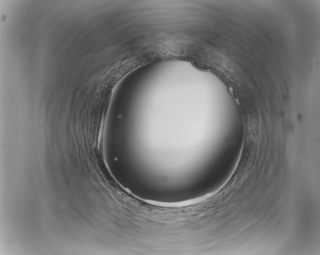 X0000059820029200510241407